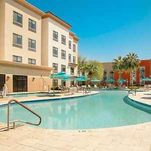Doubletree By Hilton Phoenix-Gilbert